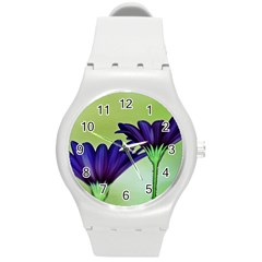 Osterspermum Plastic Sport Watch (medium)