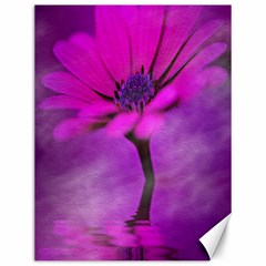 Osterspermum Canvas 12  X 16  (unframed) by Siebenhuehner