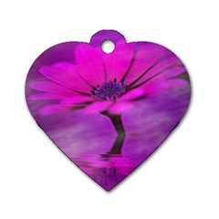 Osterspermum Dog Tag Heart (one Sided) 