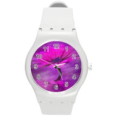 Osterspermum Plastic Sport Watch (medium)