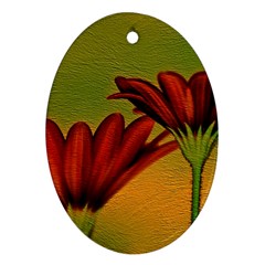 Osterspermum Oval Ornament