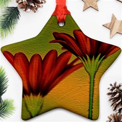 Osterspermum Star Ornament