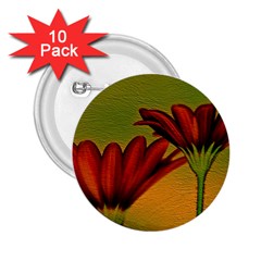 Osterspermum 2 25  Button (10 Pack) by Siebenhuehner