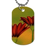 Osterspermum Dog Tag (One Sided) Front