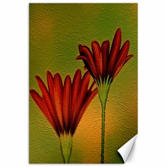 Osterspermum Canvas 20  X 30  (unframed) by Siebenhuehner