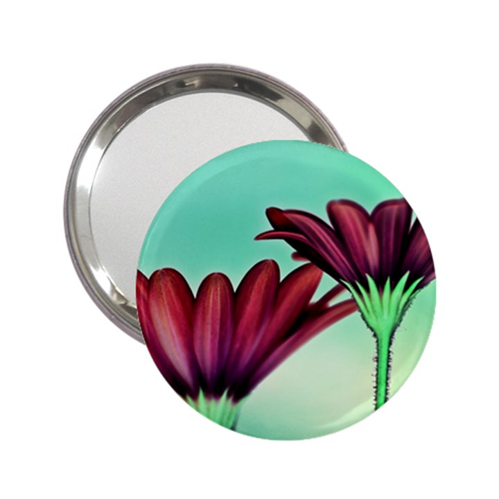 Osterspermum Handbag Mirror (2.25 )