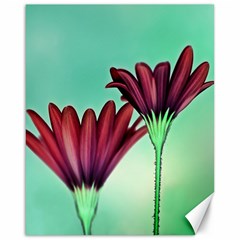 Osterspermum Canvas 16  X 20  (unframed)