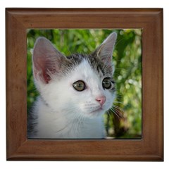 Young Cat Framed Ceramic Tile by Siebenhuehner