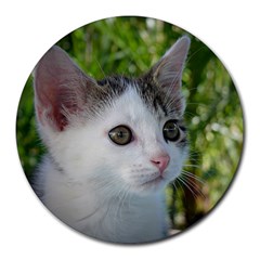 Young Cat 8  Mouse Pad (round)