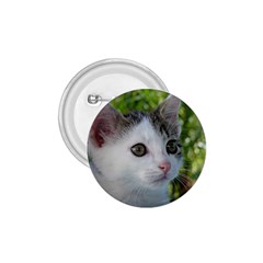 Young Cat 1 75  Button