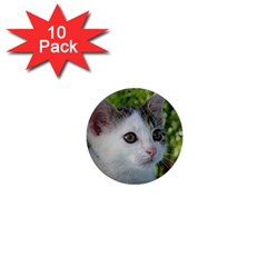 Young Cat 1  Mini Button (10 Pack)