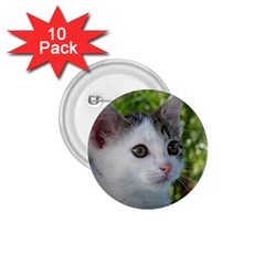 Young Cat 1 75  Button (10 Pack) by Siebenhuehner