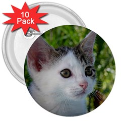 Young Cat 3  Button (10 Pack)