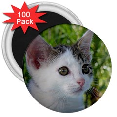 Young Cat 3  Button Magnet (100 Pack) by Siebenhuehner