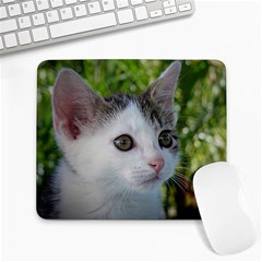 Young Cat Large Mouse Pad (rectangle)