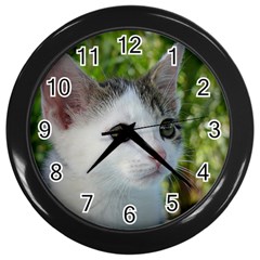 Young Cat Wall Clock (black)