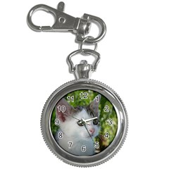 Young Cat Key Chain & Watch by Siebenhuehner