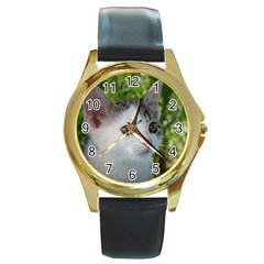 Young Cat Round Metal Watch (gold Rim) 