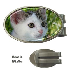 Young Cat Money Clip (oval) by Siebenhuehner