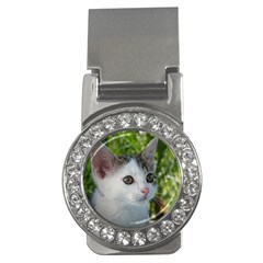 Young Cat Money Clip (cz) by Siebenhuehner