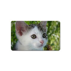 Young Cat Magnet (name Card) by Siebenhuehner