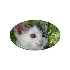 Young Cat Sticker 10 Pack (oval) by Siebenhuehner