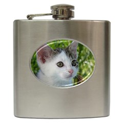 Young Cat Hip Flask