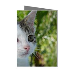 Young Cat Mini Greeting Card (8 Pack) by Siebenhuehner