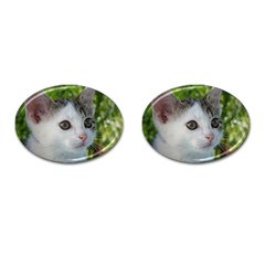 Young Cat Cufflinks (oval) by Siebenhuehner