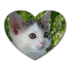 Young Cat Mouse Pad (heart)