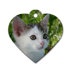 Young Cat Dog Tag Heart (two Sided)