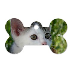 Young Cat Dog Tag Bone (one Sided) by Siebenhuehner