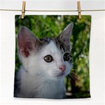 Young Cat Face Towel Front