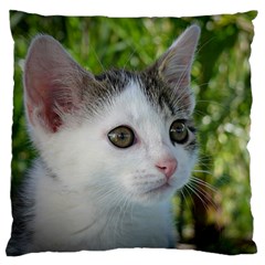 Young Cat Large Cushion Case (single Sided) 