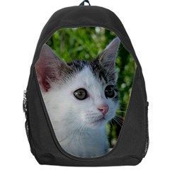 Young Cat Backpack Bag by Siebenhuehner