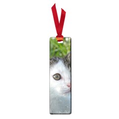 Young Cat Small Bookmark by Siebenhuehner