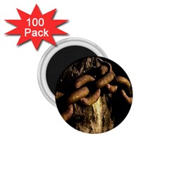 Chain 1 75  Button Magnet (100 Pack)