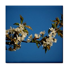 Cherry Blossom Ceramic Tile