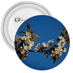 Cherry Blossom 3  Button