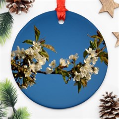 Cherry Blossom Round Ornament by Siebenhuehner