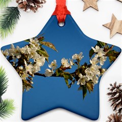 Cherry Blossom Star Ornament