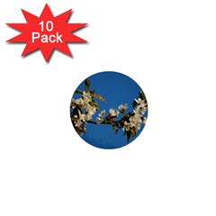 Cherry Blossom 1  Mini Button (10 Pack) by Siebenhuehner