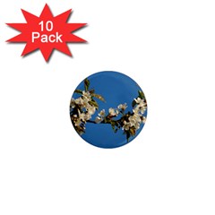 Cherry Blossom 1  Mini Button Magnet (10 Pack)