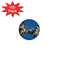 Cherry Blossom 1  Mini Button (100 Pack) by Siebenhuehner