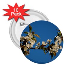 Cherry Blossom 2 25  Button (10 Pack) by Siebenhuehner