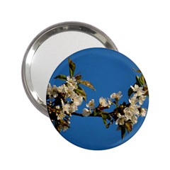 Cherry Blossom Handbag Mirror (2 25 )