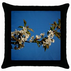 Cherry Blossom Black Throw Pillow Case