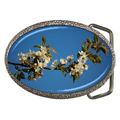 Cherry Blossom Belt Buckle (oval)