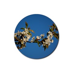 Cherry Blossom Drink Coasters 4 Pack (round)