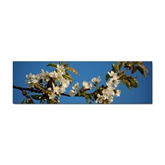 Cherry Blossom Bumper Sticker by Siebenhuehner